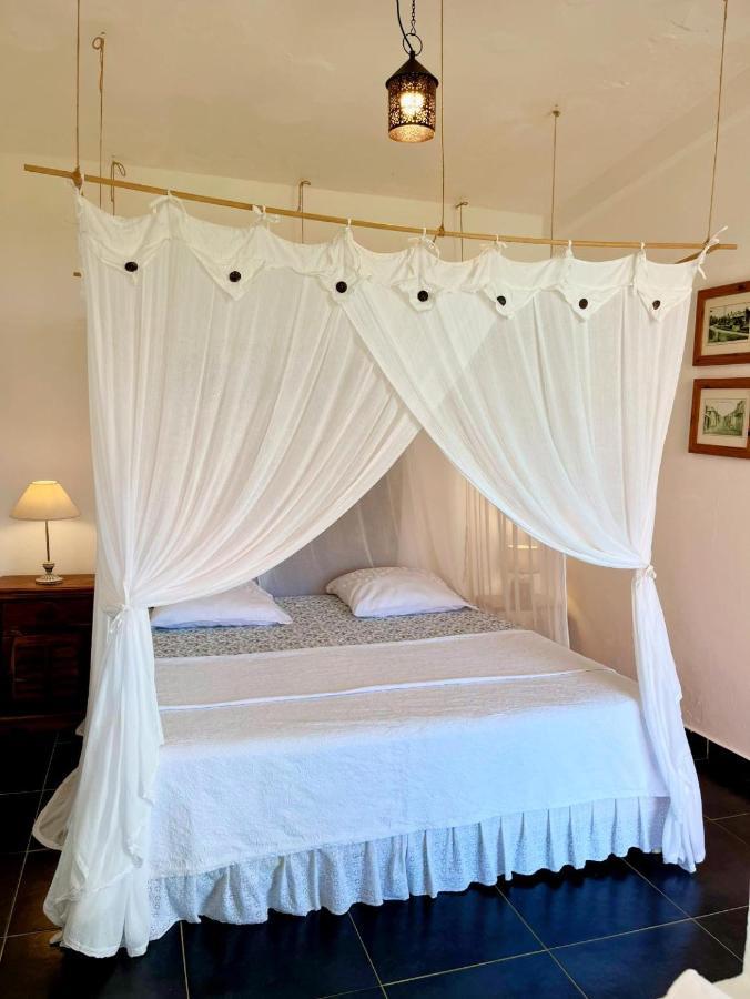 Habitation La Reine Du Camp Chambres D'Hotes Сейнт Клод Екстериор снимка