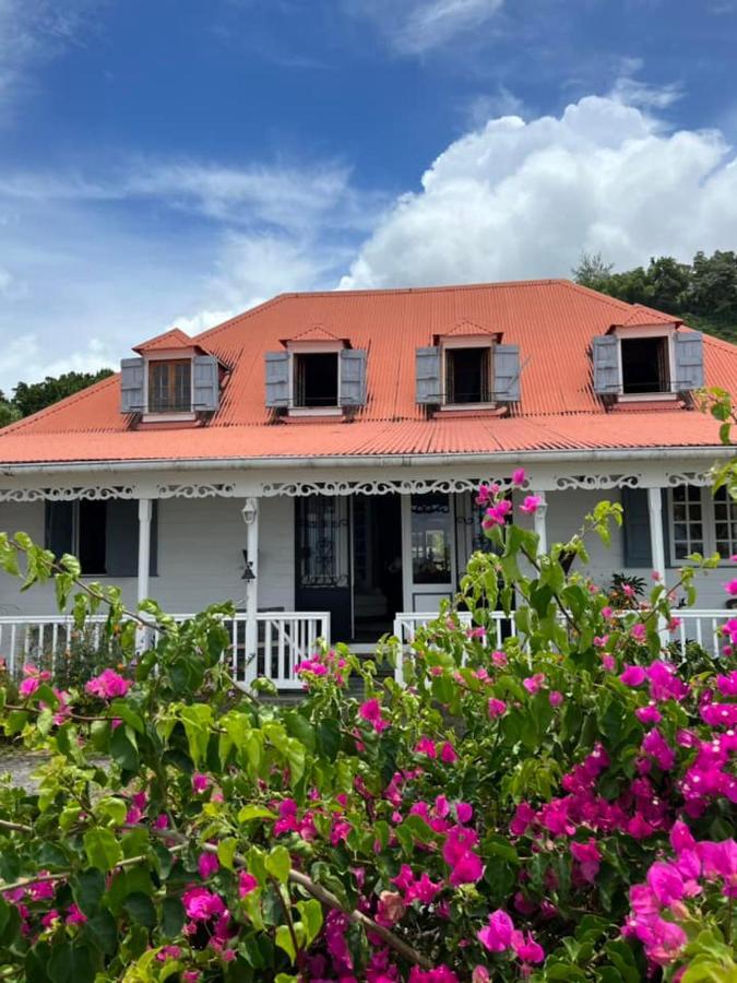 Habitation La Reine Du Camp Chambres D'Hotes Сейнт Клод Екстериор снимка