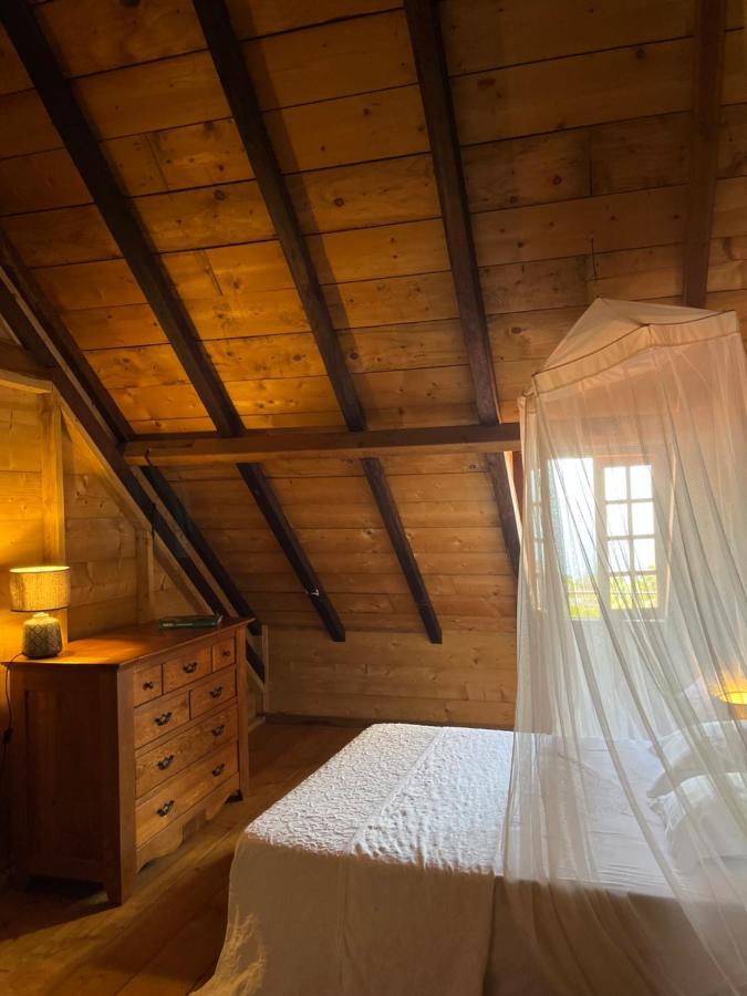 Habitation La Reine Du Camp Chambres D'Hotes Сейнт Клод Екстериор снимка