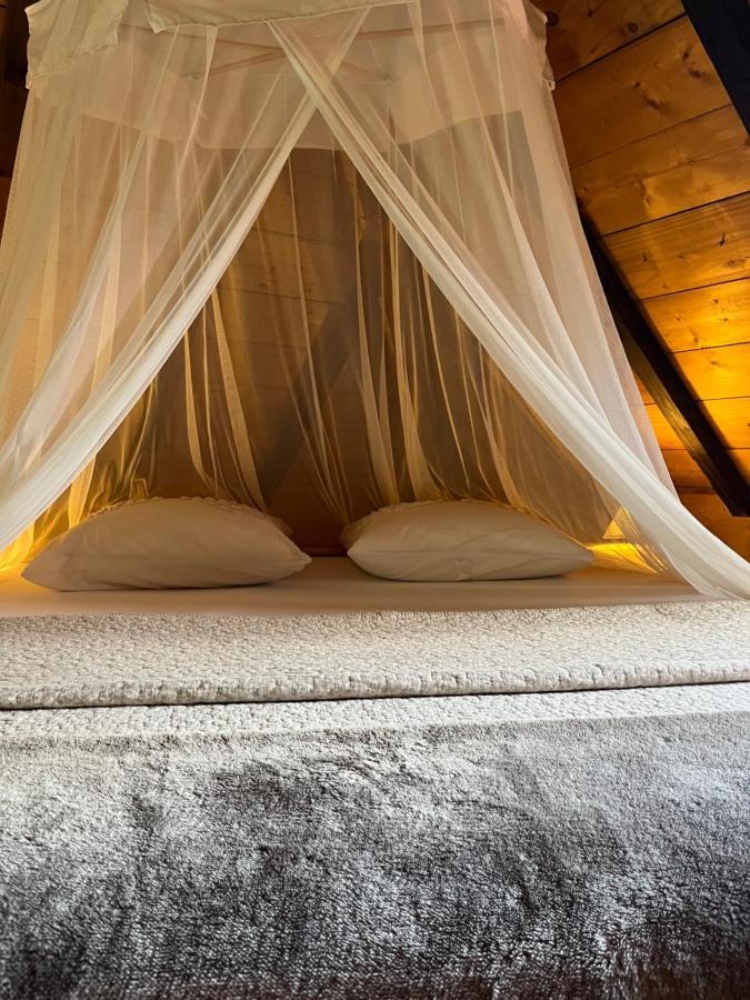 Habitation La Reine Du Camp Chambres D'Hotes Сейнт Клод Екстериор снимка